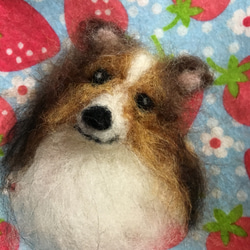 見本品 羊毛フェルトシェルティ