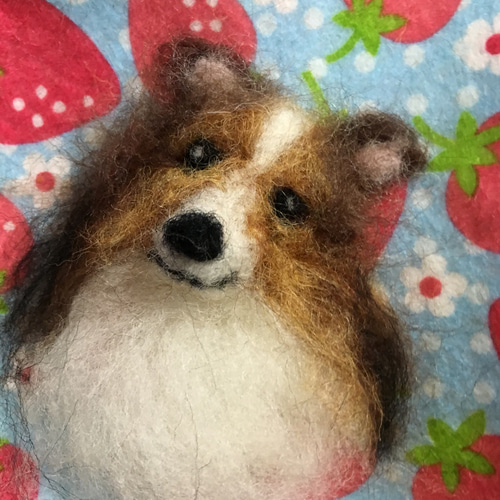 見本品 羊毛フェルトシェルティ 【公式通販】