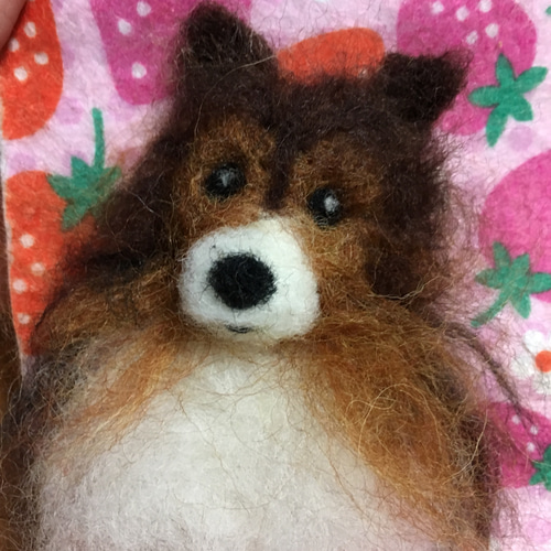 見本品 羊毛フェルトシェルティ