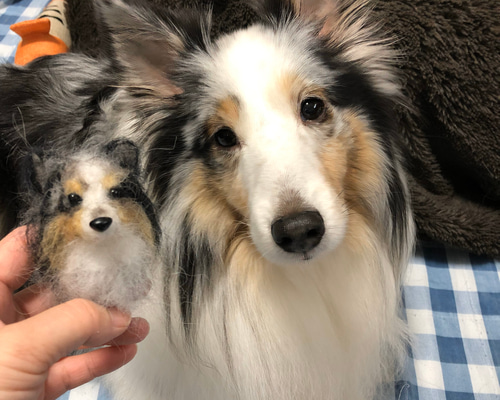 0_5960a962b63e9fc52de832653dcb