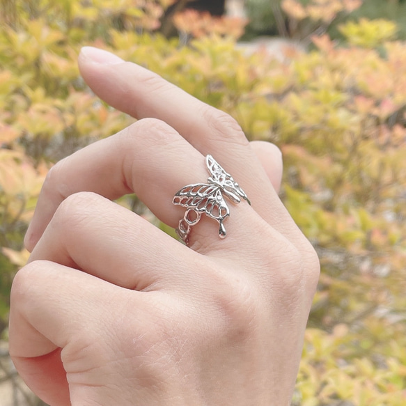 Anello ”Anello farfalla”（piccolo）ー小さい蝶のリングー　シルバー925/リング 1枚目の画像