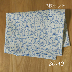 ２枚セット 30×40 ランチョンマット  ペリカン 給食ナフキン  ランチマット 幼稚園 保育園 小学校 1枚目の画像