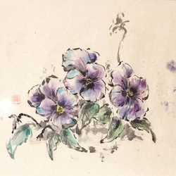 三色菫 (ビオラ) 2枚目の画像
