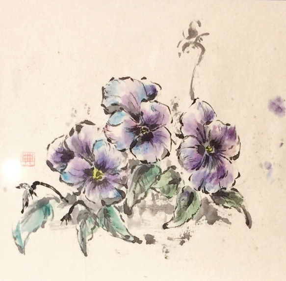 三色菫 (ビオラ) 2枚目の画像
