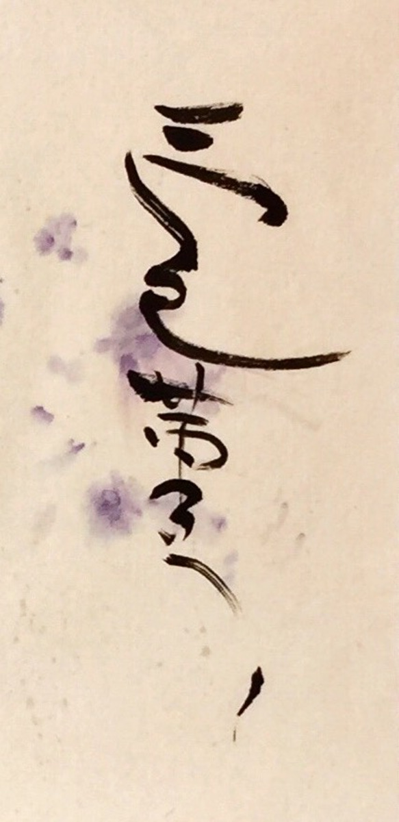三色菫 (ビオラ) 3枚目の画像