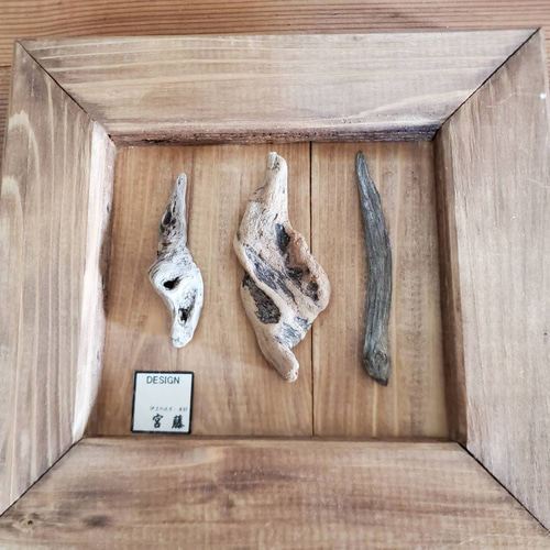 流木 ④ くるしく 