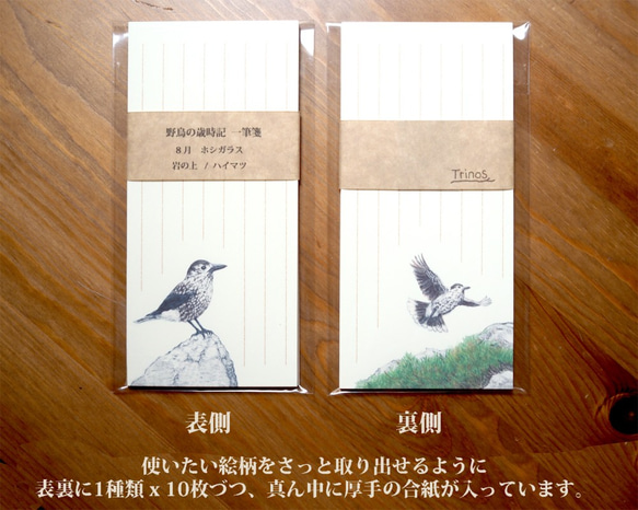 野鳥の歳時記・一筆箋　8月/ホシガラス 4枚目の画像