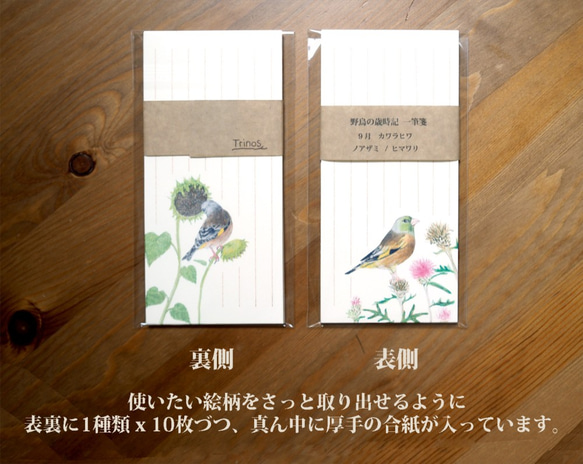 野鳥の歳時記・一筆箋　9月/カワラヒワ 4枚目の画像