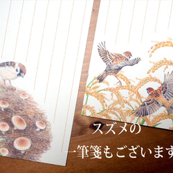 野鳥の歳時記・一筆箋　9月/カワラヒワ 5枚目の画像