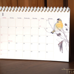 野鳥のカレンダー 2021 (卓上版) 2枚目の画像
