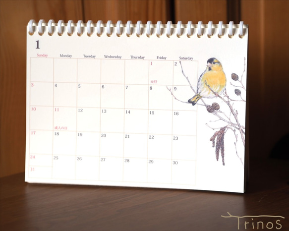 野鳥のカレンダー 2021 (卓上版) 2枚目の画像
