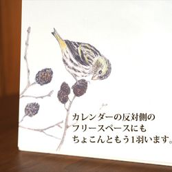 野鳥のカレンダー 2021 (卓上版) 3枚目の画像