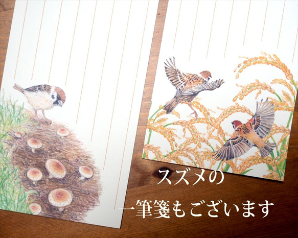 野鳥の歳時記・一筆箋　10月/ヤマガラ 5枚目の画像