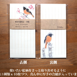 野鳥の歳時記・一筆箋　11月/ジョウビタキ 4枚目の画像