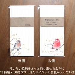 野鳥の歳時記・一筆箋　12月/オオマシコ 4枚目の画像