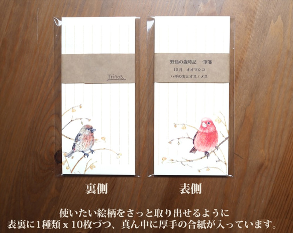 野鳥の歳時記・一筆箋　12月/オオマシコ 4枚目の画像