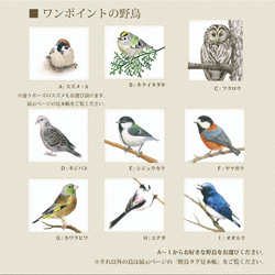 ヤマガラのタオルハンカチ (お好きな野鳥が選べます) 4枚目の画像
