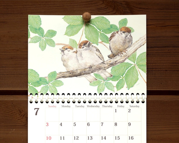 スズメのカレンダー 2022 (壁かけ版) 5枚目の画像