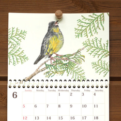 野鳥のカレンダー 2022 (壁かけ版) 3枚目の画像