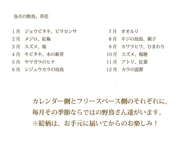 野鳥のカレンダー 2018 (リフィル版) 4枚目の画像