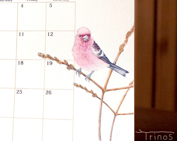 野鳥のカレンダー 2019 (卓上版) 1枚目の画像