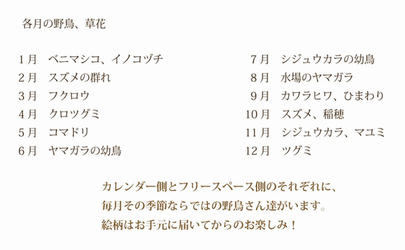 野鳥のカレンダー 2019 (リフィル版) 6枚目の画像
