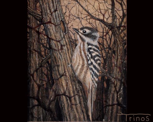 森の中Ⅱ (コゲラのテンペラ画・八ヶ岳の小鳥たち) 1枚目の画像