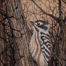森の中Ⅱ (コゲラのテンペラ画・八ヶ岳の小鳥たち) 2枚目の画像