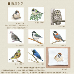 キジバトのサコッシュ M size (防水・お好きな野鳥が選べます！) 4枚目の画像