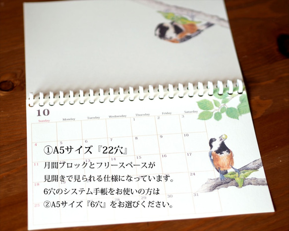 野鳥のカレンダー 2020 (リフィル版) 3枚目の画像