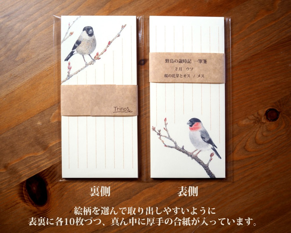 野鳥の歳時記・一筆箋　2月/ウソ 4枚目の画像