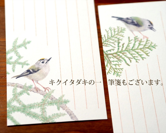 野鳥の歳時記・一筆箋　2月/ウソ 5枚目の画像