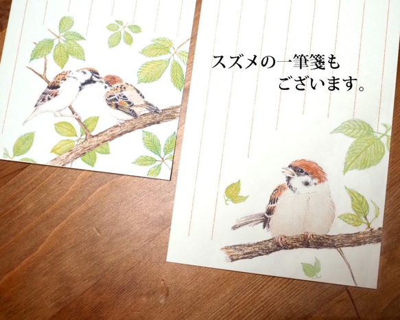 野鳥の歳時記・一筆箋　5月/シジュウカラ 5枚目の画像