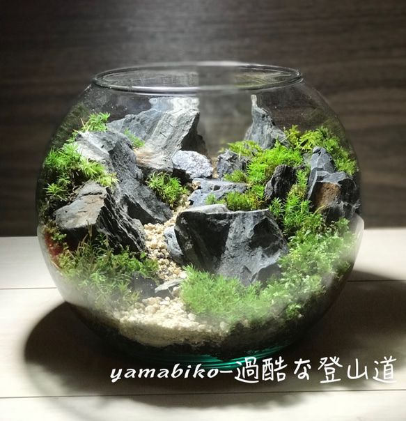 山岳苔テラリウムシリーズ「険しい登山道」。高価な石をふんだんに使っているので少々高くなってしまいました・・・。