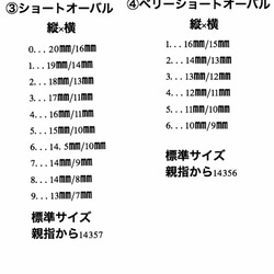 ネイルチップ 3枚目の画像