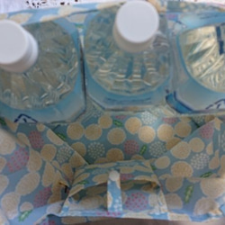 エコバッグ　Ｌサイズ　撥水ナイロン　ハワイアン　モンステラ＆ホヌ　ブルー 2枚目の画像