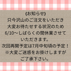 再再販…☆夏用マスク☆接触冷感☆人気のシンプル白レースマスク❬ノーズワイヤー&フィルターポケット付❭ 1枚目の画像