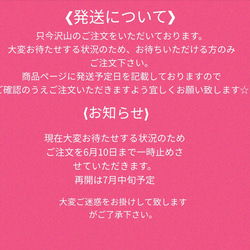 再再販…☆夏用マスク☆接触冷感☆人気のシンプル白レースマスク❬ノーズワイヤー&フィルターポケット付❭ 3枚目の画像