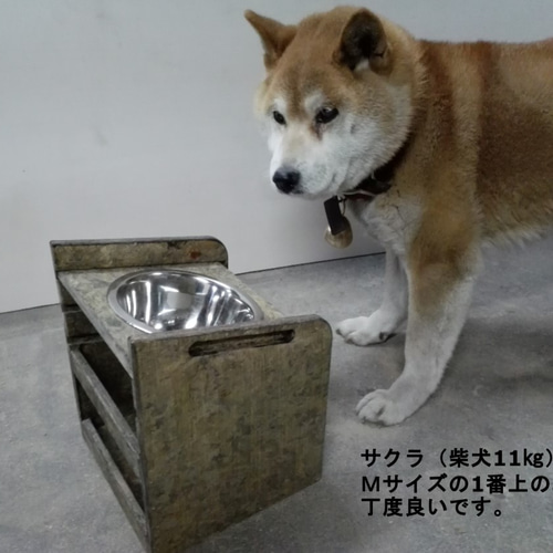 新ペットディッシュホルダー】犬/ＤＯＧ/ペットグッズ/愛犬用品/エサ