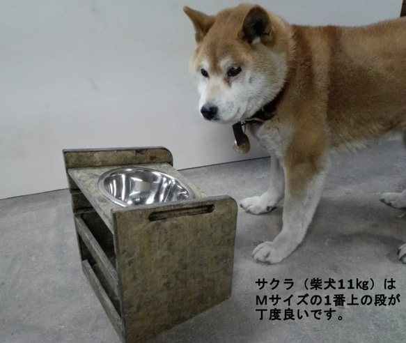 【新ペットディッシュホルダー】犬/ＤＯＧ/ペットグッズ/愛犬用品/エサ入れ/高さ調整フードディッシュ 1枚目の画像