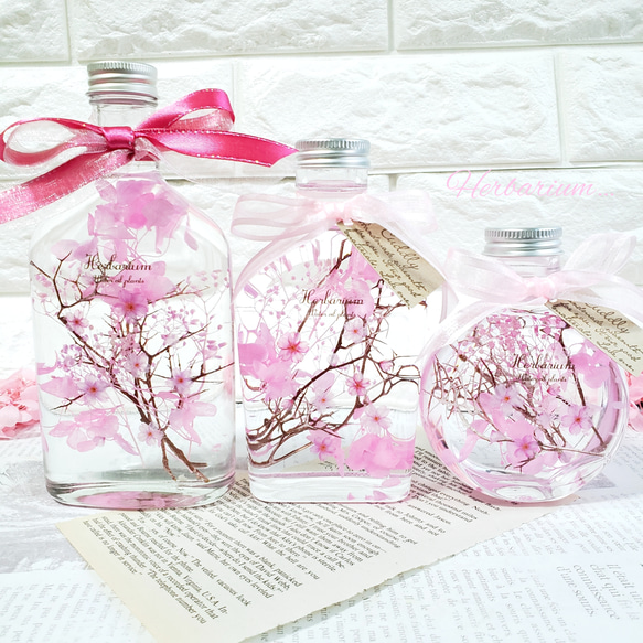 桜　ハーバリウム　₊✼̥*ˈ インテリア　プレゼント　ギフト　　春　贈り物 2枚目の画像