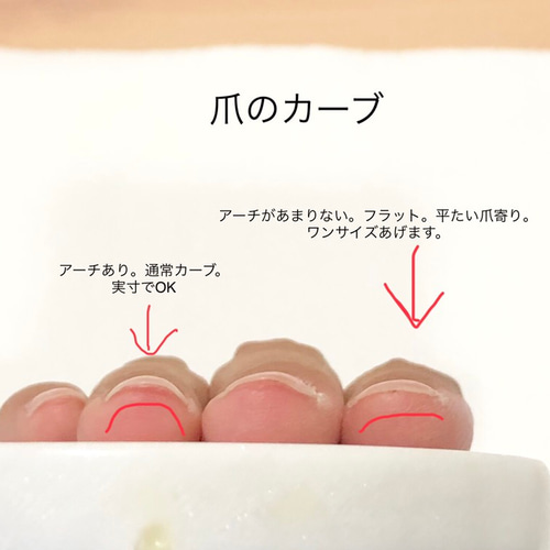 送料¥0 大きさ確認 ネイルチップサンプル ネイルチップ（つけ爪） mona