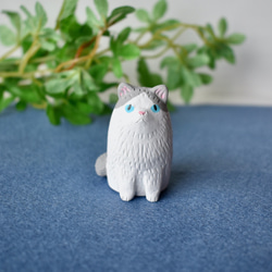 猫の額　ハチワレ　アート　インテリア　オブジェ　レア　希少 5b1ef024694c85363ace3245544ef0