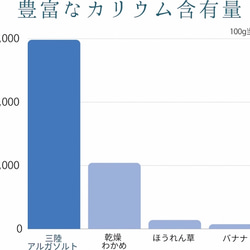 【三陸アルガソルトデイリーパック】生わかめのを多段階乾燥した粉、スーパー ヘルスフード 豊富な栄養 食物繊維　アルギン酸 4枚目の画像