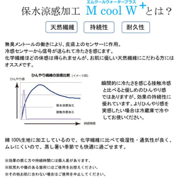 ひんやり♡保水涼感 リバティ プリーツマスク トムズジェット 男の子 幼稚園 小学校 夏マスク マスク 4枚目の画像