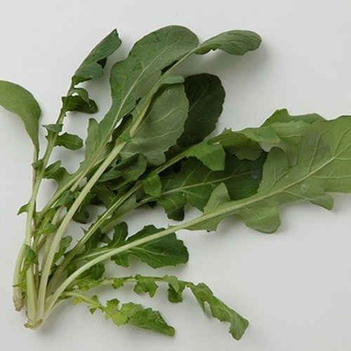 ＊ルッコラページ＊ ルッコラとは？味や特徴、おいしい食べ方について解説！ | クラシル