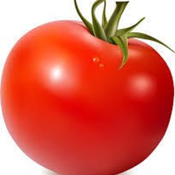 栄養豊富なトマトドレッシング 4枚目の画像