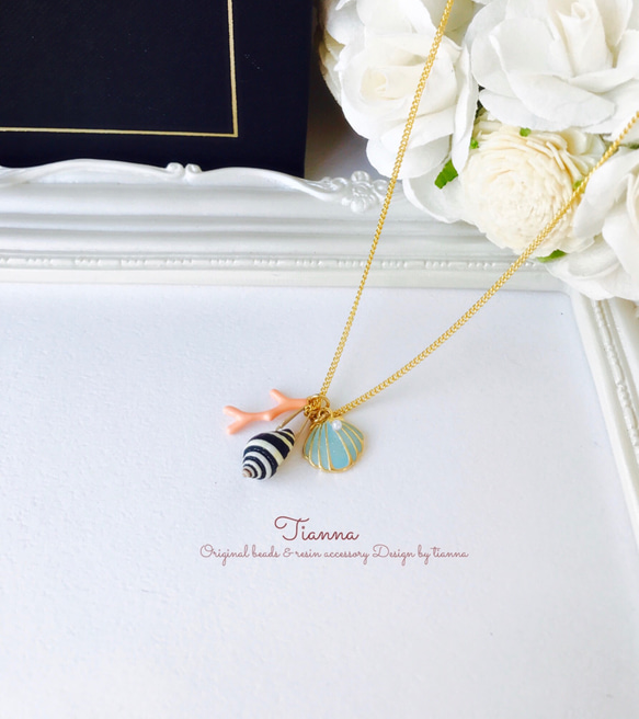 貝がら3点 サンゴらしきもの1点