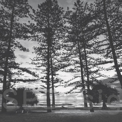 バーレーヘッズ 白黒 ポスター ビーチ モダン 部屋 インテリア おしゃれ 額絵 オーストラリア　A3サイズ　 1枚目の画像