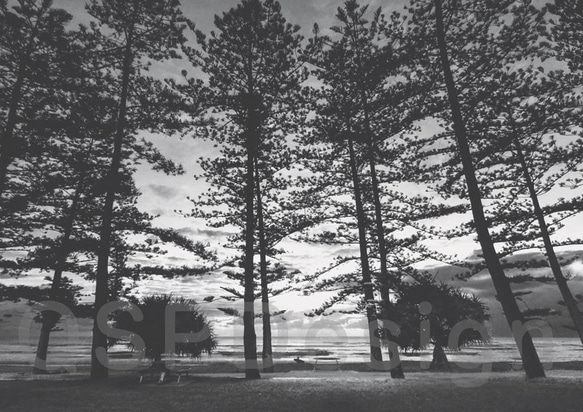 バーレーヘッズ 白黒 ポスター ビーチ モダン 部屋 インテリア おしゃれ 額絵 オーストラリア　A3サイズ　 1枚目の画像